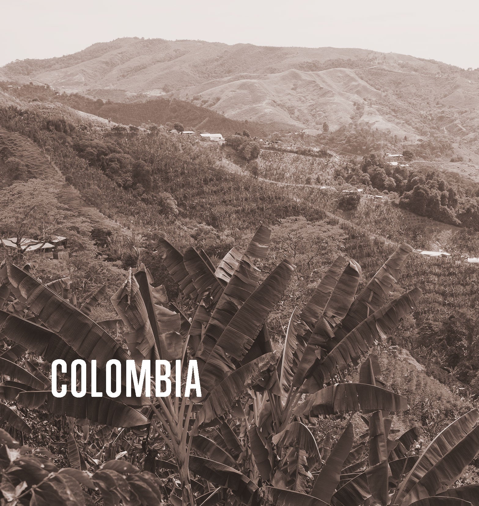 Colombia – Gaitania Espresso