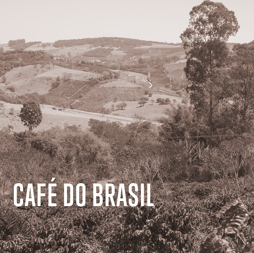 Sitio Canaã Java – Filter Coffee