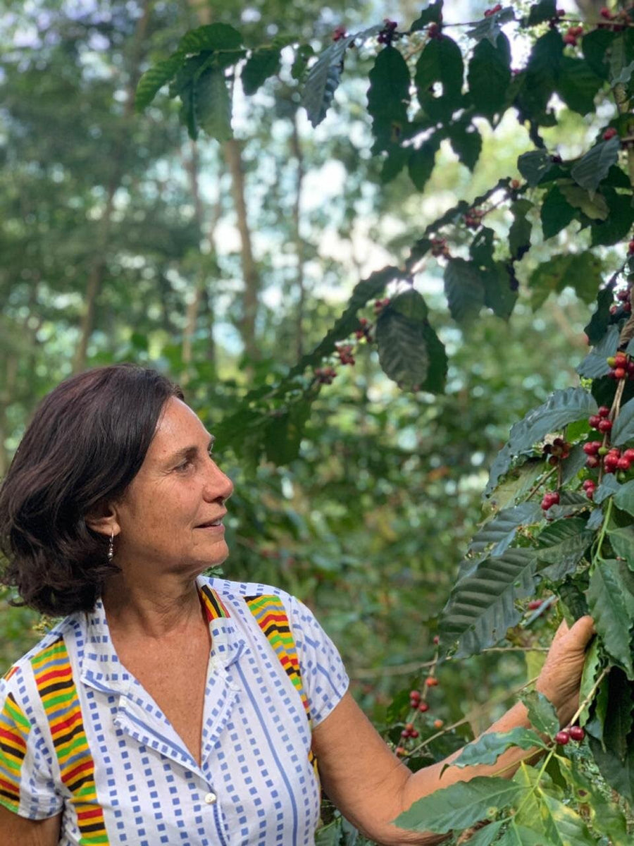 Our partner in Brazil Silvia Barretto standing next to the coffee plant